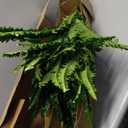 Artificial Ferns for Outdoors, 45" Large Fake Ferns 60 Fronds Faux Boston Fern Plant for Planter Garden Home Yards Farmhouse Decor Light Green