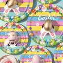 Happy Easter Plates and Napkins Serves 24 , Spring Easter Party Supplies Colorful Bunny Paper Plates and Napkins for Spring Birthday Easter Holiday Baby Shower Party Decorations