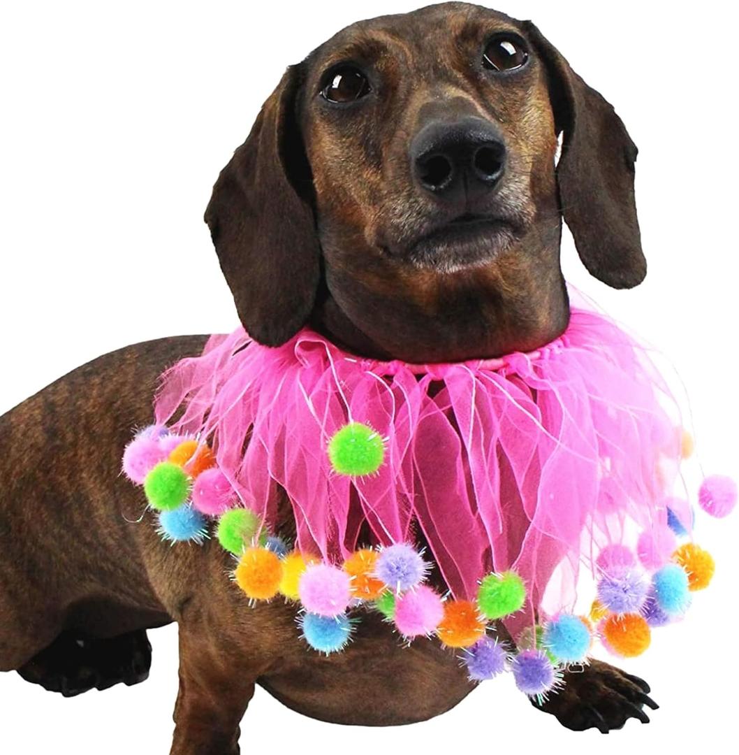 Midlee Pink Birthday Pom Pom Dog Collar (Small)