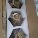 Gold Bathroom Vanity Light Fixtures, 3Light Gold Bathroom Light Fixtures Over Mirror, Sconces Wall Lighting with Elegant Metal Lampshade for Living Room, Bedroom, Hallway