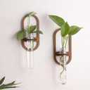 2 Pack Plant Propagation Station Wall Hanging Wooden Shelf Plant Terrarium for Hydroponics Home Office Decor Test Tube Propagate Air Plant Cutting Holder (Minimalist Oval Wood)