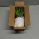 Small Fake Plant 12.2" Fern Potted Artificial Plants for Shelf Desk Home Bathroom Farmhouse Room Office Kitchen Farmhouse Coffee Table Decor (Green)