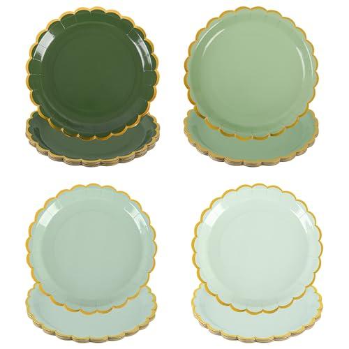 AimFun 48Pcs Sage Green Scalloped Party Plates St Patricks Day Gold Foil Border Paper Plates Disposable 9inch Gradient Serving Plates for Birthday Wedding Bridal Baby Shower Party Supplies