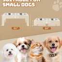 Jovrun Elevated Dog Bowls for Small Dogs and Cats, Non-Slip Cat Bowls with 2 Thick 5.5" Stainless Steel Dishes, Dog Feeder 2 Heights Adjustable to 2.6"-5.3", Beige