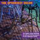 JOYIN 3 Pcs Halloween Spiders Outdoor Decoration, Halloween Decor Outside, 5 Ft Large Hairy Giant Multi Color Spider Set for Yard Lawn Porch Decor Indoor Haunted House Scary Prop (Black, Brown, Gray)