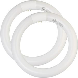 8 inch FC8T9/CW 22W Cool White Circular  Light Bulb, Round T9 22 Watt Circline Lamp Bulbs 4100K 1350 Lumens, G10q 4 Pin Base, 2 Pack