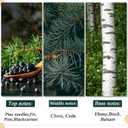 2Pcs 9Ft Scented Christmas Norfolk Pine Garland Real Touch Winter Fir Scent Artificial Pine Garlands Deluxe Norfolk Cedar Garland for Holiday Indoor Table Fireplace Wall Mantle Stair Home Decor