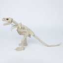 15.5" Animated T-Rex Skeleton Halloween Decoration with Light & Sound