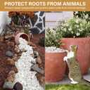 NUPICK 16lb White River Rocks for Outdoor Landscaping, 1-2 Inch Pebbles for Indoor Plants, Natural Polished Aquarium Gravel, Decorative Rocks for Succulent, Garden, Vases Fillers, Bird Baths