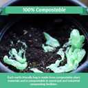 Reli. Compostable 13 Gallon Trash Bags | 150 Count Bulk | ASTM D6400 | Green | Eco-Friendly | For Compost