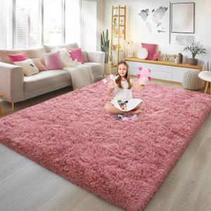 Soft Plush Shag Rug 5x7, Ultra Fluffy Rug for Living Room Bedroom, Non-Slip Fuzzy Large Area Rug for Living Room, Carpet for Girl Boy Kids, Modern Indoor Home Decor Aesthetic, Cameo Pink