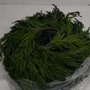 140 inch Afloral Real Touch Norfolk Pine Wreath 
