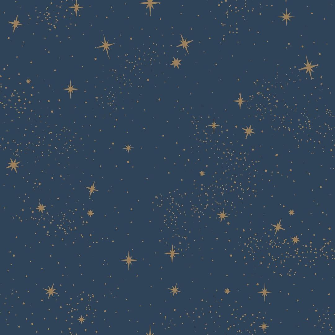 RoomMates RMK11319WP Upon A Star Navy and Metallic Peel and Stick Wallpaper, 16"L x 5"W