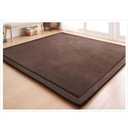 Loartee Coral Velvet Crawling Rug (4'11" X 4'11") for Toddlers - Coffee Area Rug Play Mat, Yoga Mat Exercise Pad, Carpet