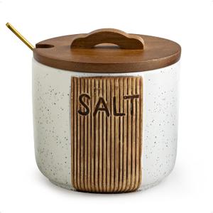 Salt Container for Countertop, Ceramic Salt Cellar with Lid and Spoons, 10 OZ Salt Bowl Holder for Mother's Day, White, Set of 1