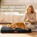 Patas Lague Orthopedic Dog Bed Large Sized Dog 36''X24'', Waterproof Soft Comfortable Egg Crate Foam Large Pet Beds Crate Mat with Removable Washable Cover and Nonskid Bottom, Black
