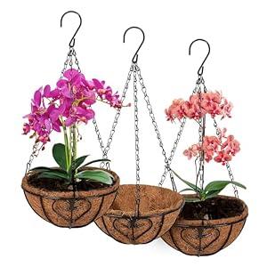 QCQHDU 3 Pack 8 inch Metal Hanging Orchid Baskets for Plants Outdoor, Hanging Orchid Planter Basket with Coco Liners, Orchid Pots with Holes for Garden, Patio, Deck, Porch Plants(Love)