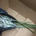 10Pcs Amaranthus Artificial Hanging Plants Fake Amaranthus Flower Bleached Wisteria 33" Long Hanging & Cascading Flowers for Wedding Floral Arrangement, Home Garden Decor, Party Supplies