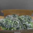 N&T NIETING 8 Pack Artificial Eucalyptus Leaf Garland, Faux Greenery Garland Decor 6 FT Summer Garlands, Fake Hanging Vines for Wedding Decoration Table Mantle