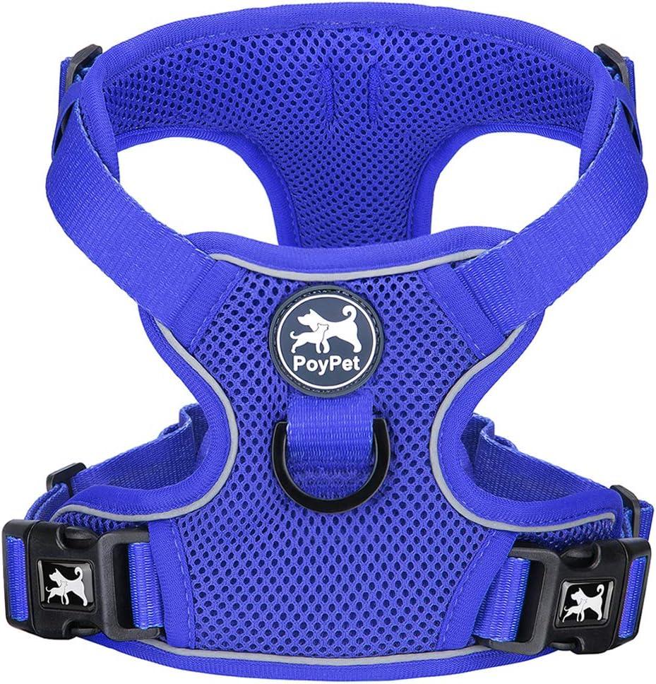 PoyPet Reflective Soft Breathable Mesh Dog Harness Choke-Free Double Padded Vest with Adjustable Neck and Chest(Royal Blue,XS)