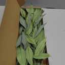 Ling's Moment Artificial Plants Eucalyptus Leaves Branches,10Pcs 17.7"Tall Fake Greenery Filler w/Stems, Lifelike Texture Plant Decor for Wedding Bouquets/Table Centerpieces, Outdoor/Party/Room/Office