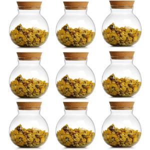 Spherical Glass Jar With Cork Lid Airtight - 17oz Candy Jar Kitchen Glass Jar - for Preserving and Storing Coffee, Spice, Beans, Sugar etc (9)