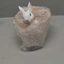 Easter - Spring Flower Pot - Bunny Decor - Easter Decoration - Decorative Garden Pots for Cactus Succulents Planter with Drainage Hole for Home Farmhouse Decor 5.75 x 5 x 7.25 inch Newman House Studio