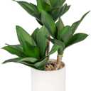 Hollyone Large Artificial Agave Plants Fake Three-Head Agave Succulent Plant Potted 15" Faux Plant in White Pot Succulent Aloe Plant Indoor for Desk Modern Home Decor (Style 2)