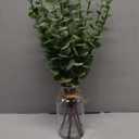 VIERENA 17.5" Artificial Eucalyptus Stems in Glass Vase with Faux Water,Fake Plant Eucalyptus Leaves White Seeds for Centerpiece Table Decorations Farmhouse Wedding Home Greenery Decor (Sage Green)