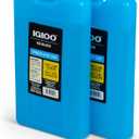 Igloo Maxcold Ice Block (2PK Large)