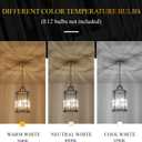 Black Gold Pendant Light Modern Glass Small 4-Light Pendant Chandelier 9.8'' for Kitchen Island Industrial Cage Ceiling Hanging Lighting for Dining Room Entryway Hallway