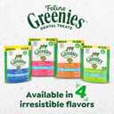 Greenies Feline Veterinarian-Recommended Adult Natural Dental Cat Treats, Catnip Flavor, 9.75 oz. Tub (EXP 10/01/26)