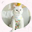 2 PCS Cat Recovery Suit Female Cat Onesie for Cats After Surgery Spay Abdominal Wounds, Kitten Surgery Recovery Suit Female Breathable E-Collar Alternative Kitten Onesie Anti Licking, Medium
