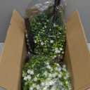 Outdoor Artificial Flowers UV Resistant, 20 Bundles Fake Realistic Floral Greenery Plants for Outside Porch, Window Boxes, Garden, Yard, Inside Home Table Decor, White