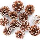 12 Pcs Big Size Snow Natural Pine Cones with Strings, 2-3.5 Rustic Pinecones Bulk Christmas Hanging Ornaments for Xmas Tree Decoration, DIY Crafts, Holiday, Wedding, Party
