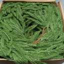 2 Pcs 6 Ft Artificial Norfolk Pine Garlands, Real Touch Christmas Pine Garland, Green Artificial Greenery Garland for Table, Mantle, Wall, Indoor, Outdoor Christmas Decorations