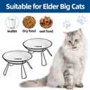 Cat Bowls, Elevated Bowl, Raised Ceramic Dish with Metal Stand, Pet Water or Food Feeding Station for Indoor Cats, Kitten, Puppies and Small Dogs(2 Pack)