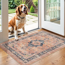 Washable 3×6 Area Rug: Vintage Indoor Soft Non Slip Door Mat Stain Resistant Carpet for Bedroom Living Room Light Weight Floor Mat for Kitchen Bathroom - Perfect for Homes with Pets (3×6,Orange)