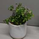 Fake Flower Plant Pot
