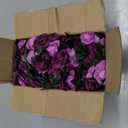 KHOYIME 9 Pack 72 FT Artificial Flower Garland, Fake Purple Roses Vines Silk Flowers Faux Plastic Outdoor Hanging Floral Ivy Garland Decoration for Wedding Arch Bedroom Home Wall Backdrop Room Decor