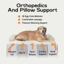 Large Dog Bed Orthopedic Washable - Waterproof with Removable Cover - Memory Foam - XXL Large Big Dogs - Beds Bolster Pet - Couch Sofa - Beige Dog Bed