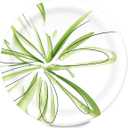 Amazon Basics Everyday Disposable Paper Plates, 10 Inch, Microwave-Safe, Cut Resistant, Soak-Proof, 150 Count