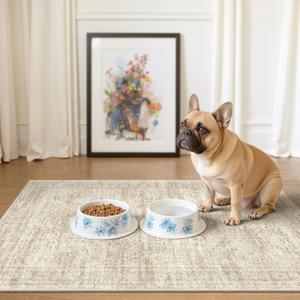 2x3 Washable Rugs for Kitchen, Floor, Entryway, Powder Room Small Area Rug Non-Slip Vintage Low Pile Throw Door Mat Beige