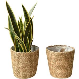 2PCS Plant Basket Indoor with Plastic Liner Water Hyacinth Woven Planters Flower Baskets Holder Liners Home Decor