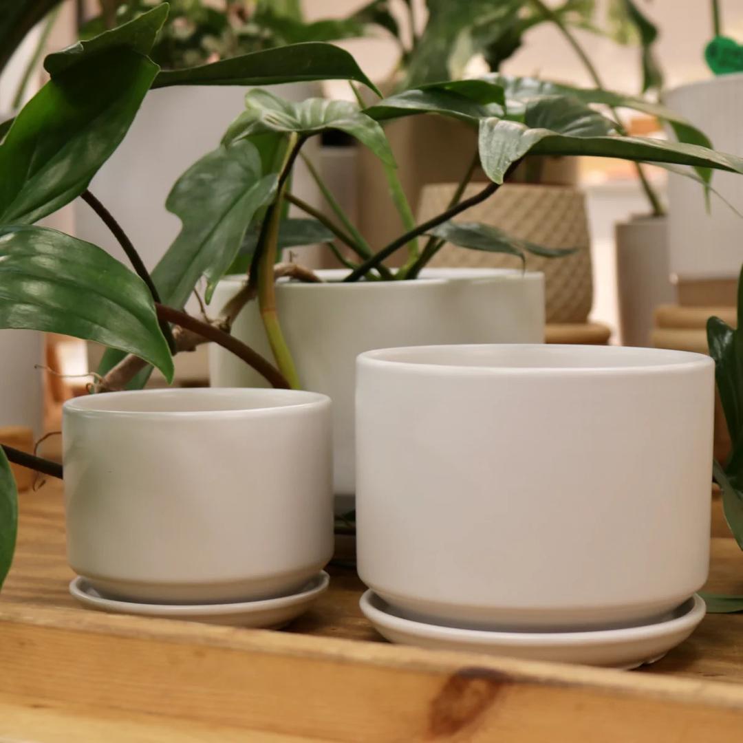 April Ceramic Planter, 3 Pack