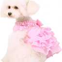 Fashion Sweet Puppy Dog Chiffon Princess Dress for EXTRAL Small and Small Medium Dog Pink XL