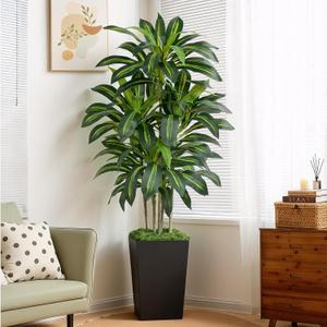 6FT Artificial Dracaena Tree - High-Density Foliage Fake Plant with Black Tall Planter - Faux Yucca Floor Plant for Home Office Decor Indoor