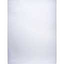 BLC Monitor Protector 13" x 21.5" 