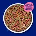 Kibbles n Bits Bistro Mini Bits Small Breed Dry Dog Food, Oven Roasted Beef, Spring Vegetable and Apple Flavors for Adult Dogs, 3.5 lb. Bag (Pack of 4)