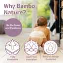 Bambo Nature Premium Training Pants (Sizes 4 TO 6), Size 5, 100 Count